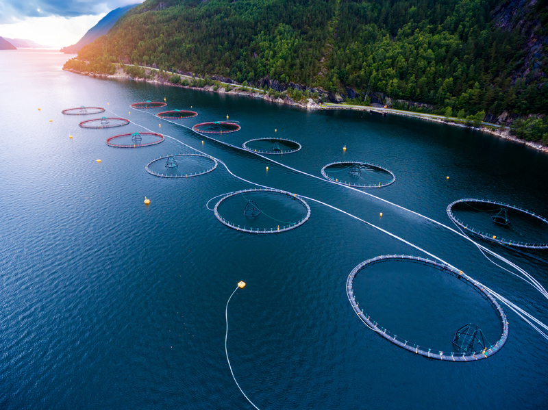 Aquaculture2-1